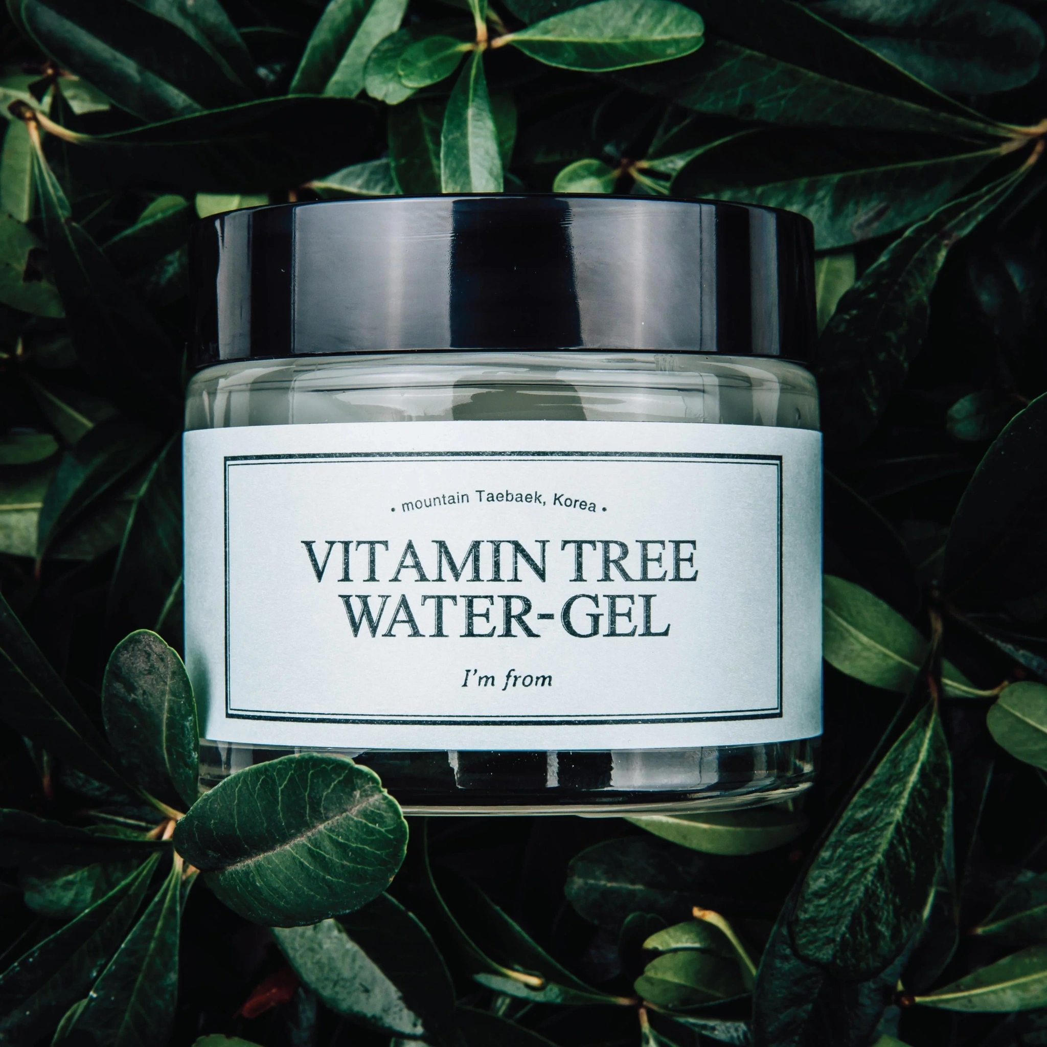 Vitamin Tree Water-Gel