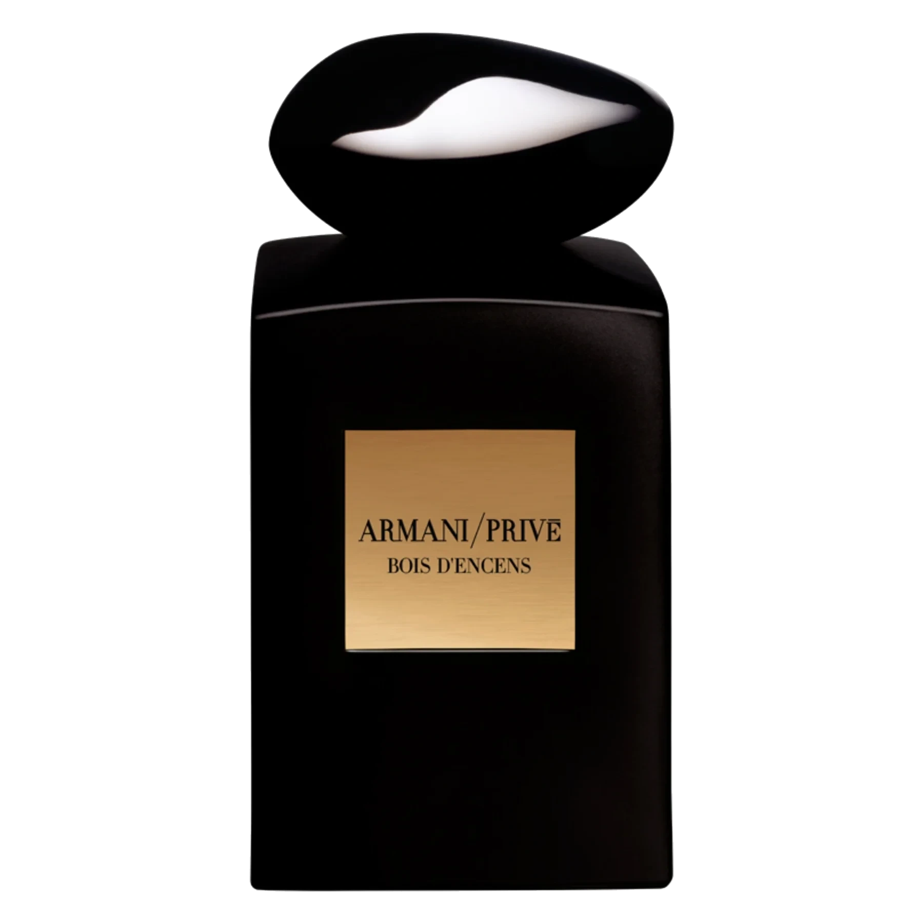 Armani Privé Cuir Noir Eau de Parfum 100 ml