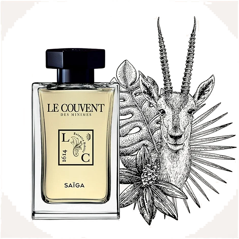 Le Couvent Saiga Singulière