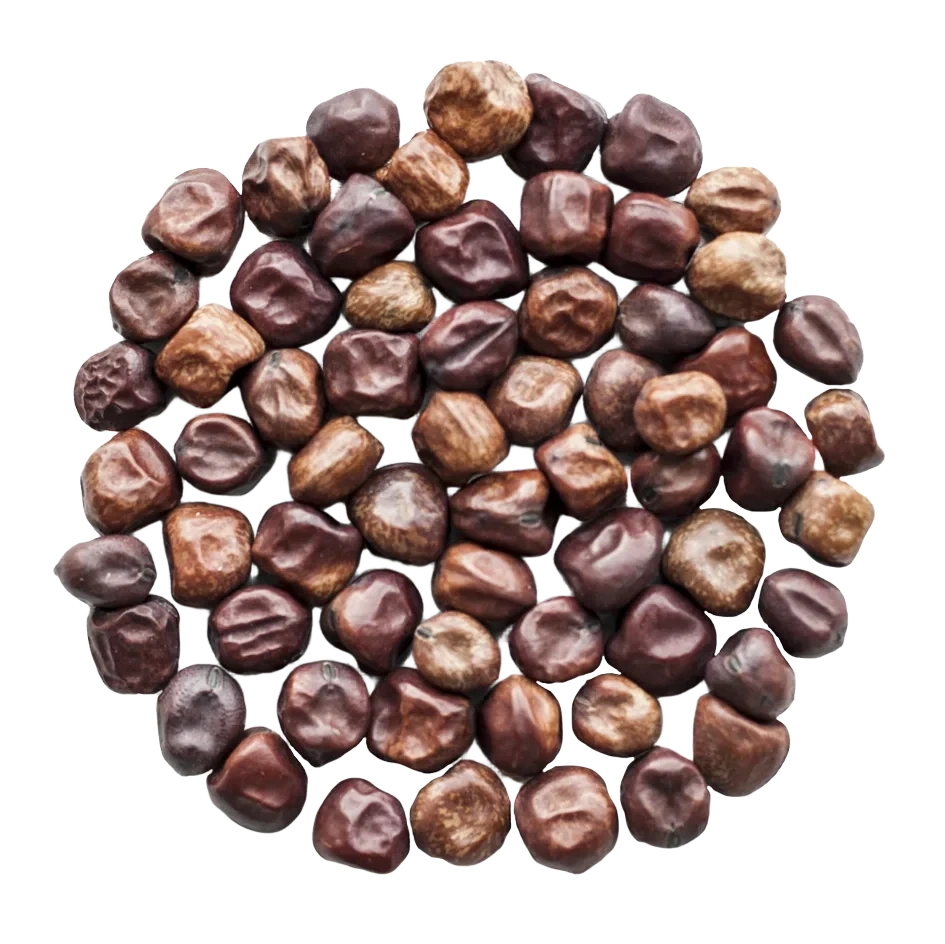 Stor Gråärt KRAV 2,5kg