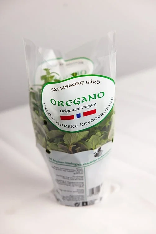 Oregano  ø12cm standard   potte