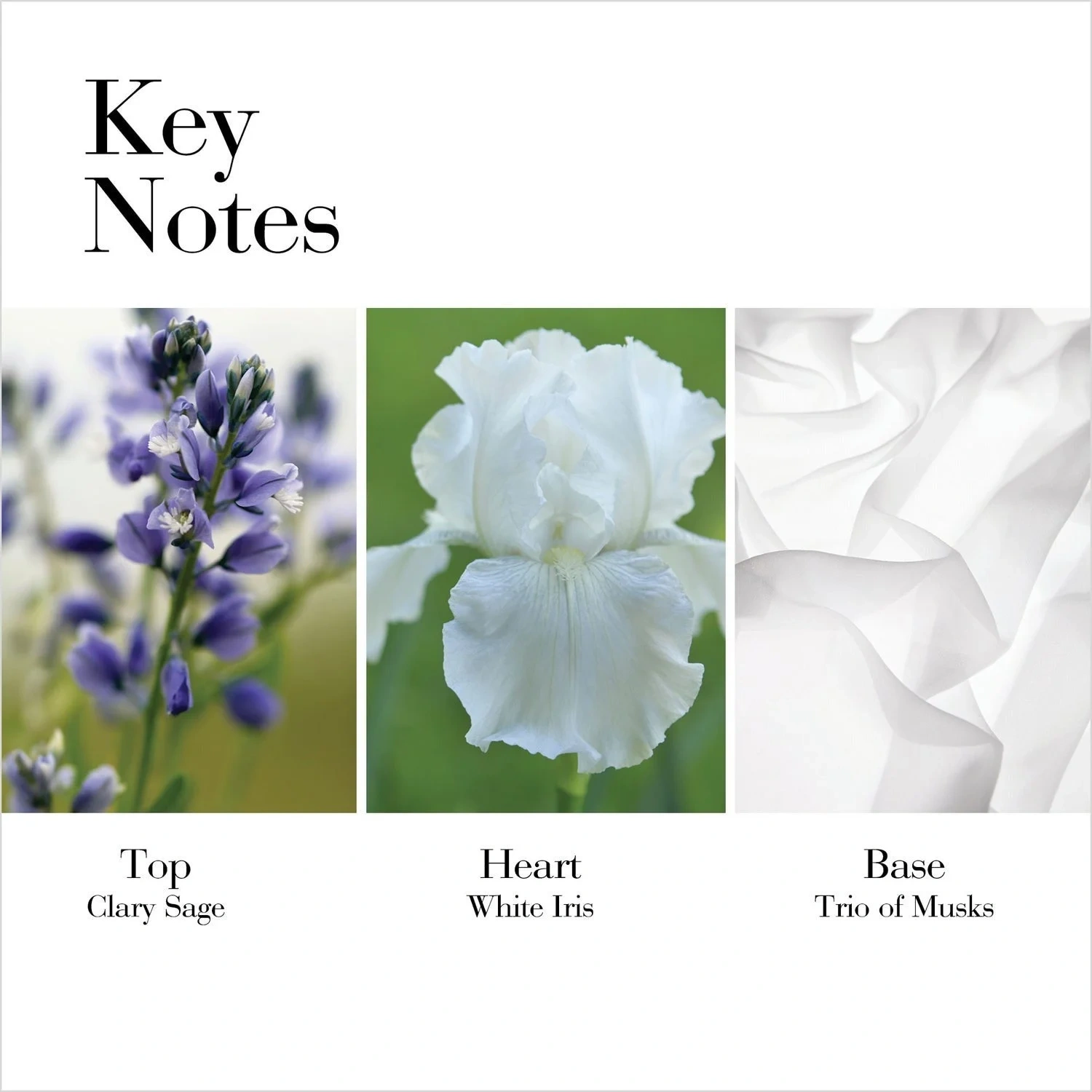 Elizabeth Arden White Tea