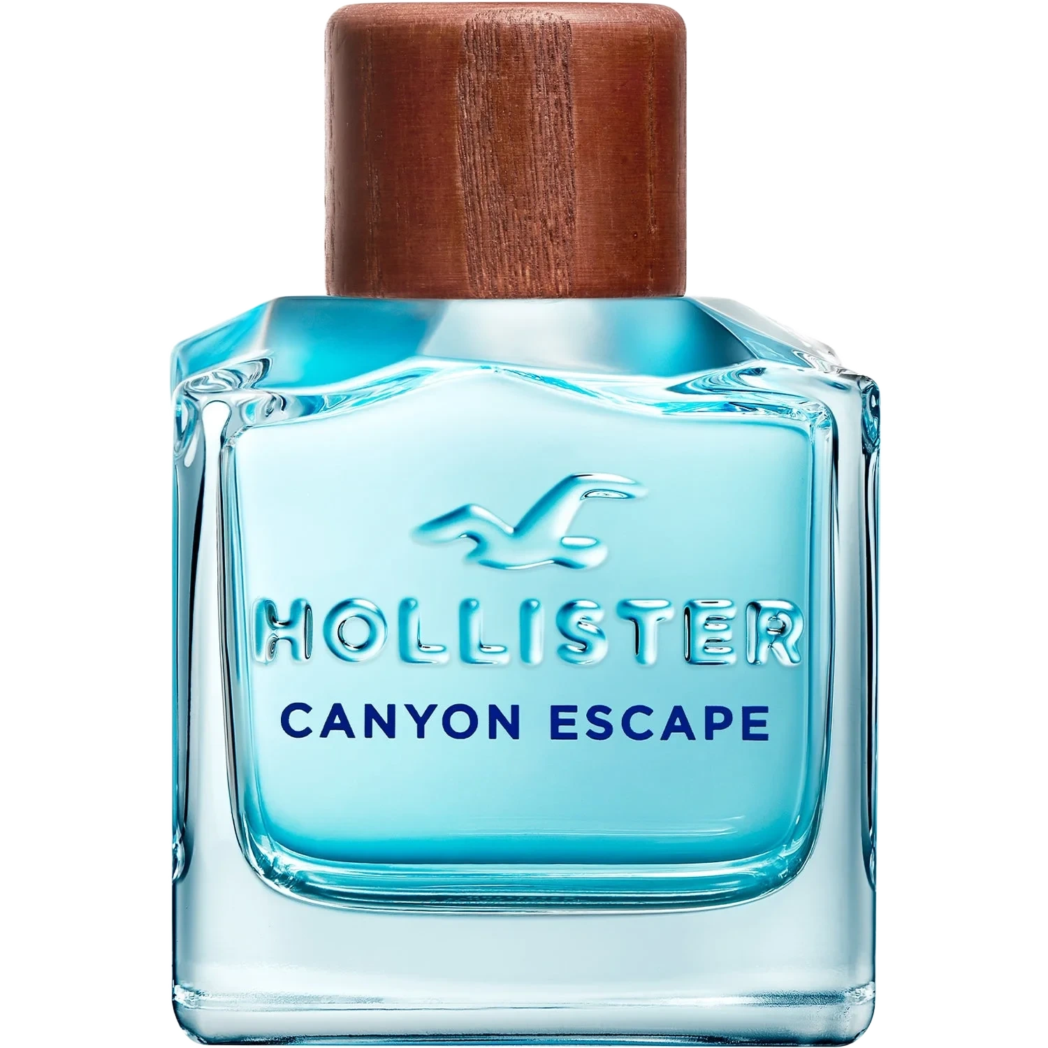 Hollister Canyon Escape For Him