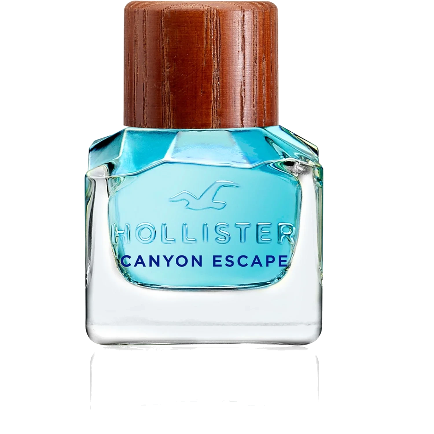 Hollister Canyon Escape For Him
