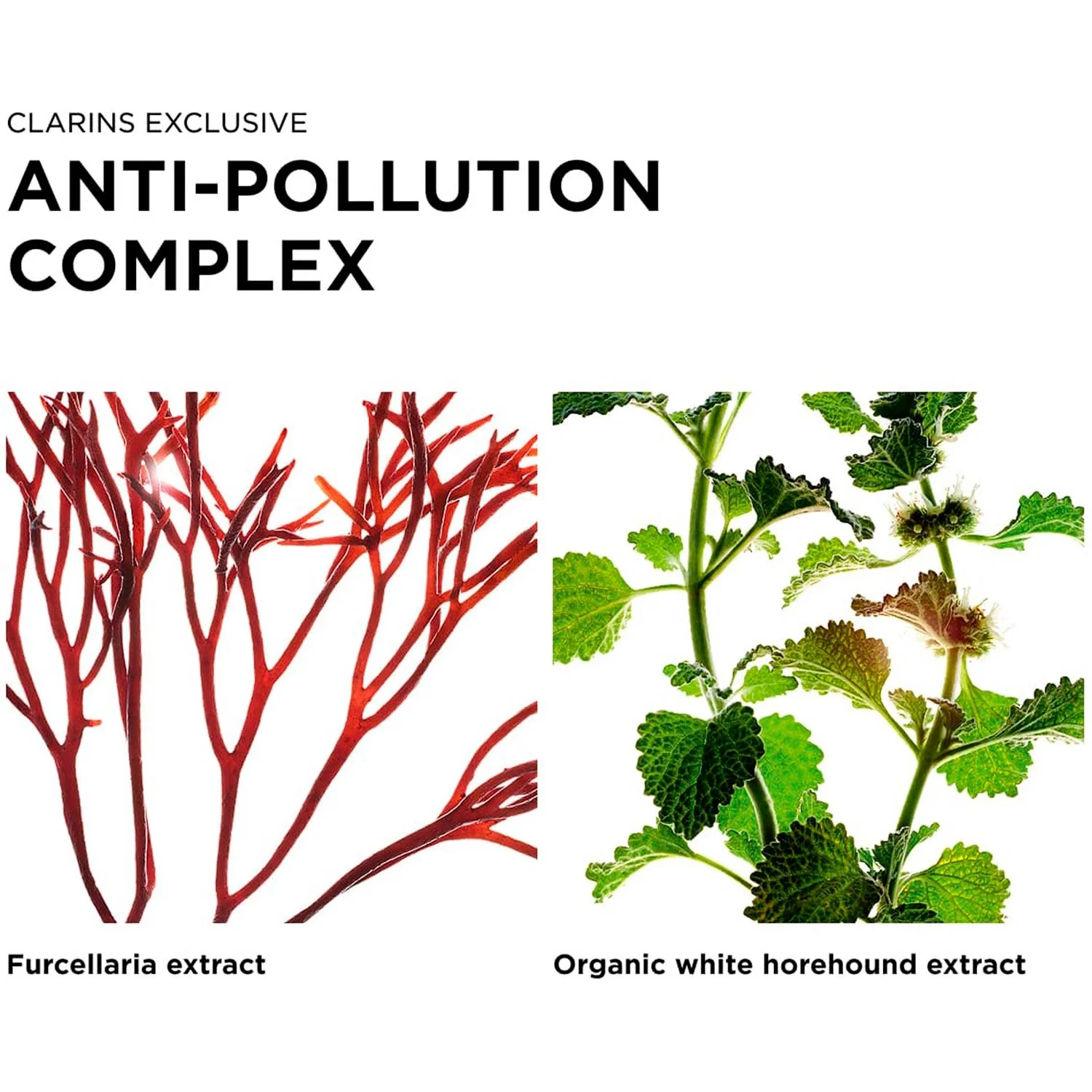 Clarins UV Plus Anti-Pollution Translucent