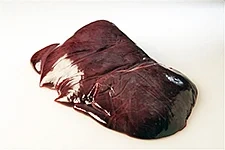 Kalvelever lys fryst  ca5kg   kg