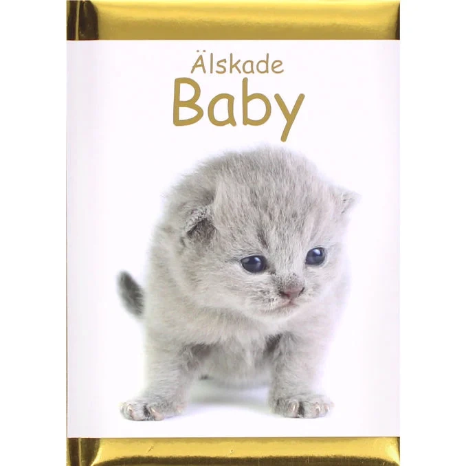 Bok: Älskade Baby