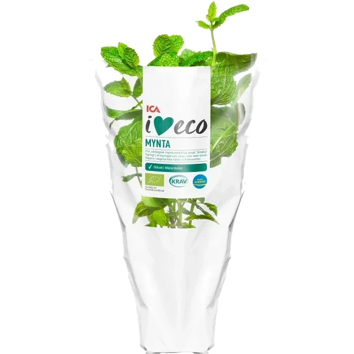 Mynta Ekologisk 1-p KRAV Klass 1 ICA I love eco
