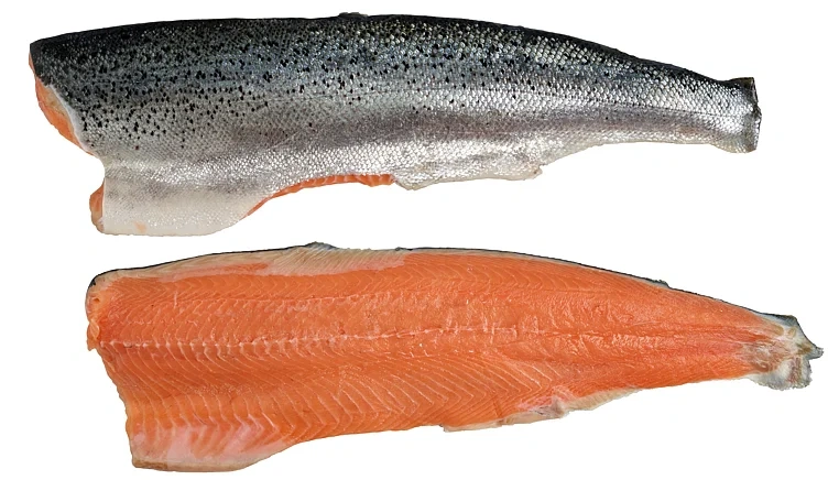 Atlantic Salmon Frozen Filet Trim C 0,6-1,0kg Intl L10