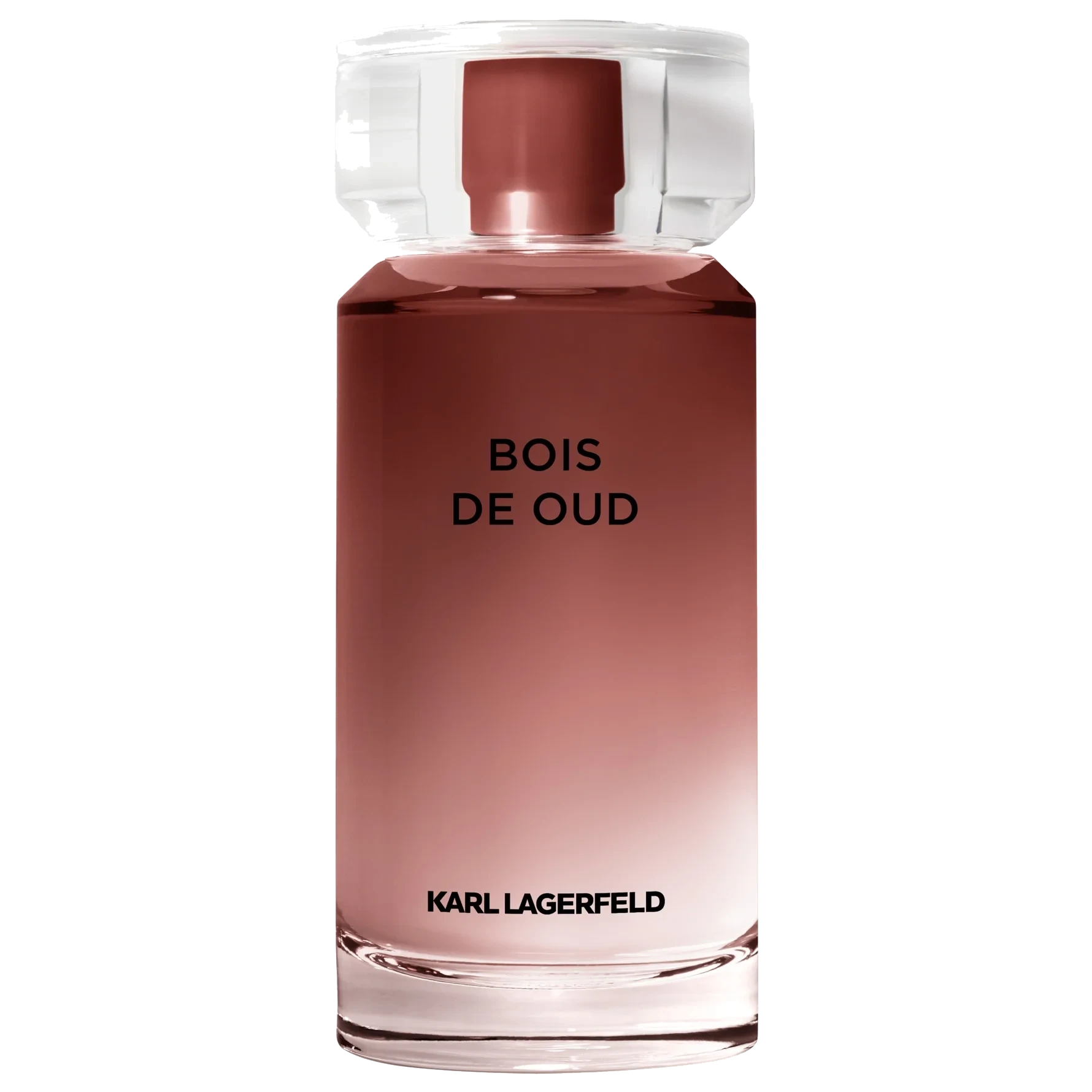 Karl Lagerfeld Les Parfums Matières Bois de Oud Eau de Toilette 100 ml