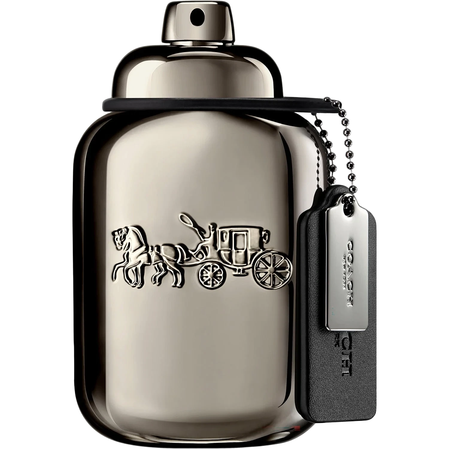 Coach Pure Platinum Parfum 60 ml