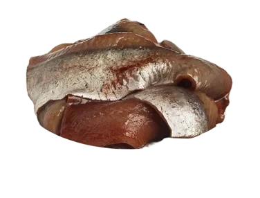 Norrøna Norrønafilet gammeldagsmodnet