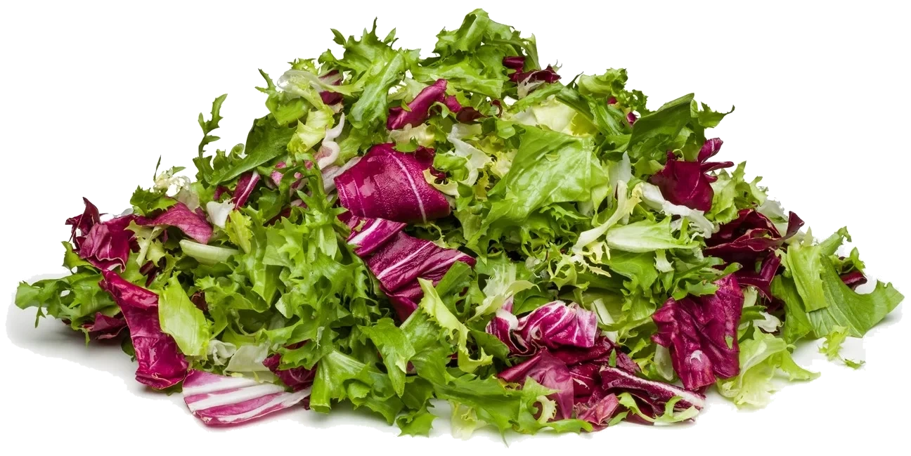 FS Frisée & rosé