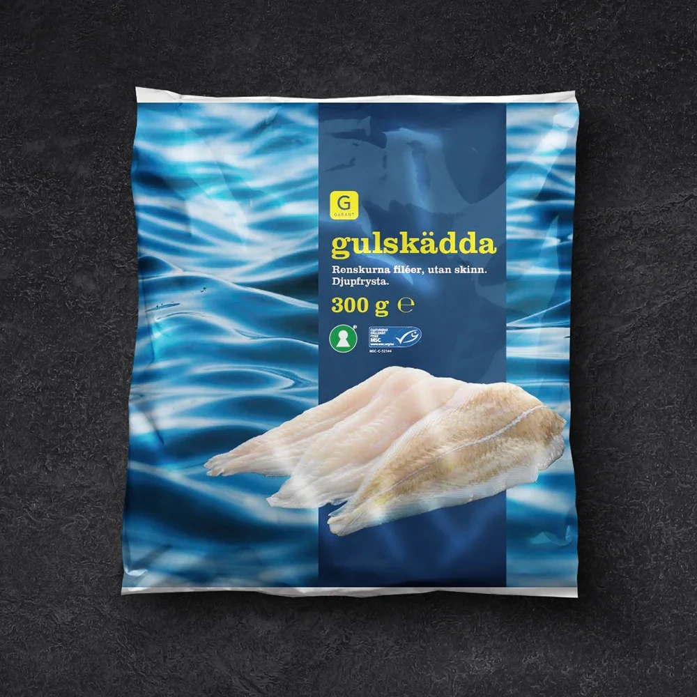 Gulskäddafilé MSC