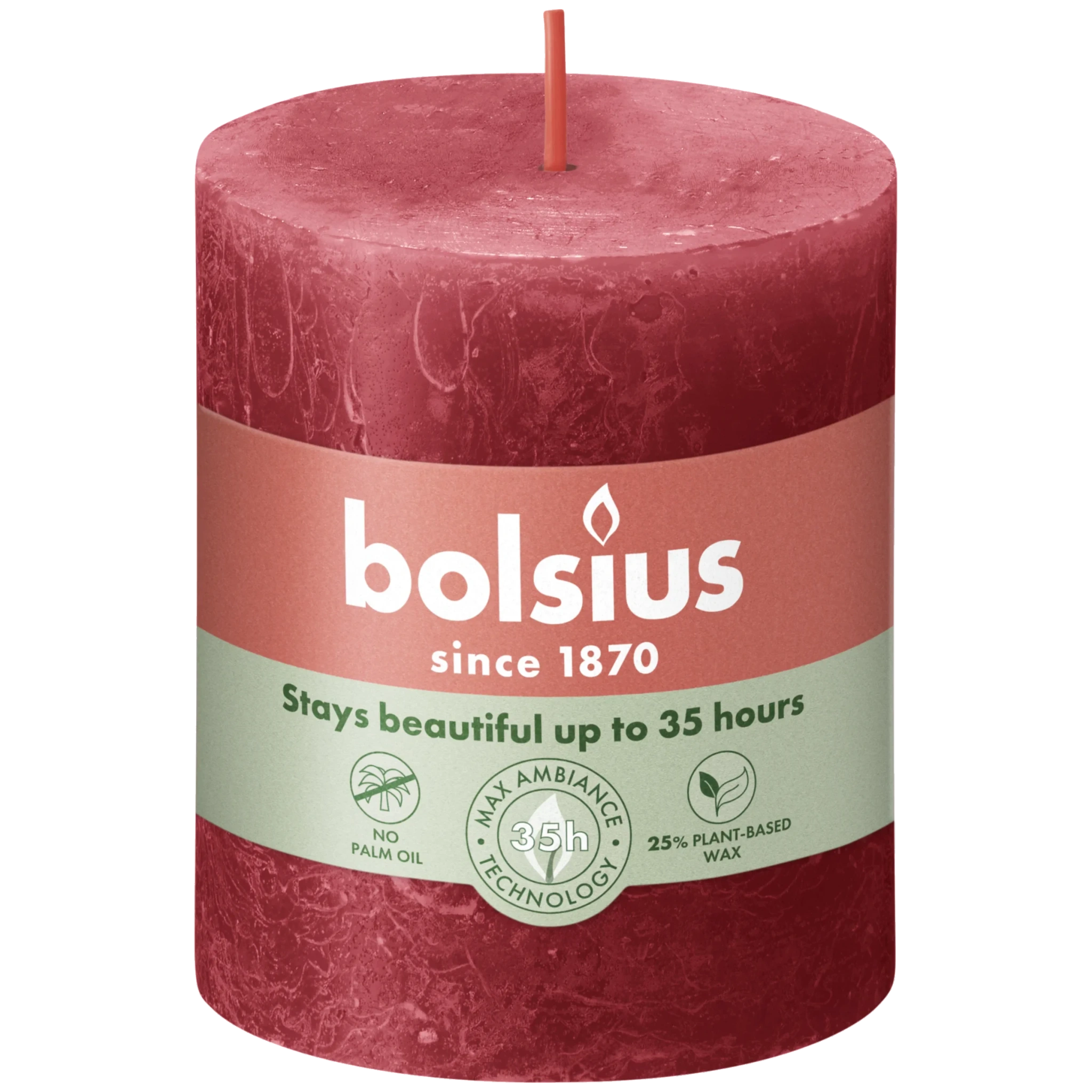 Rustikljus