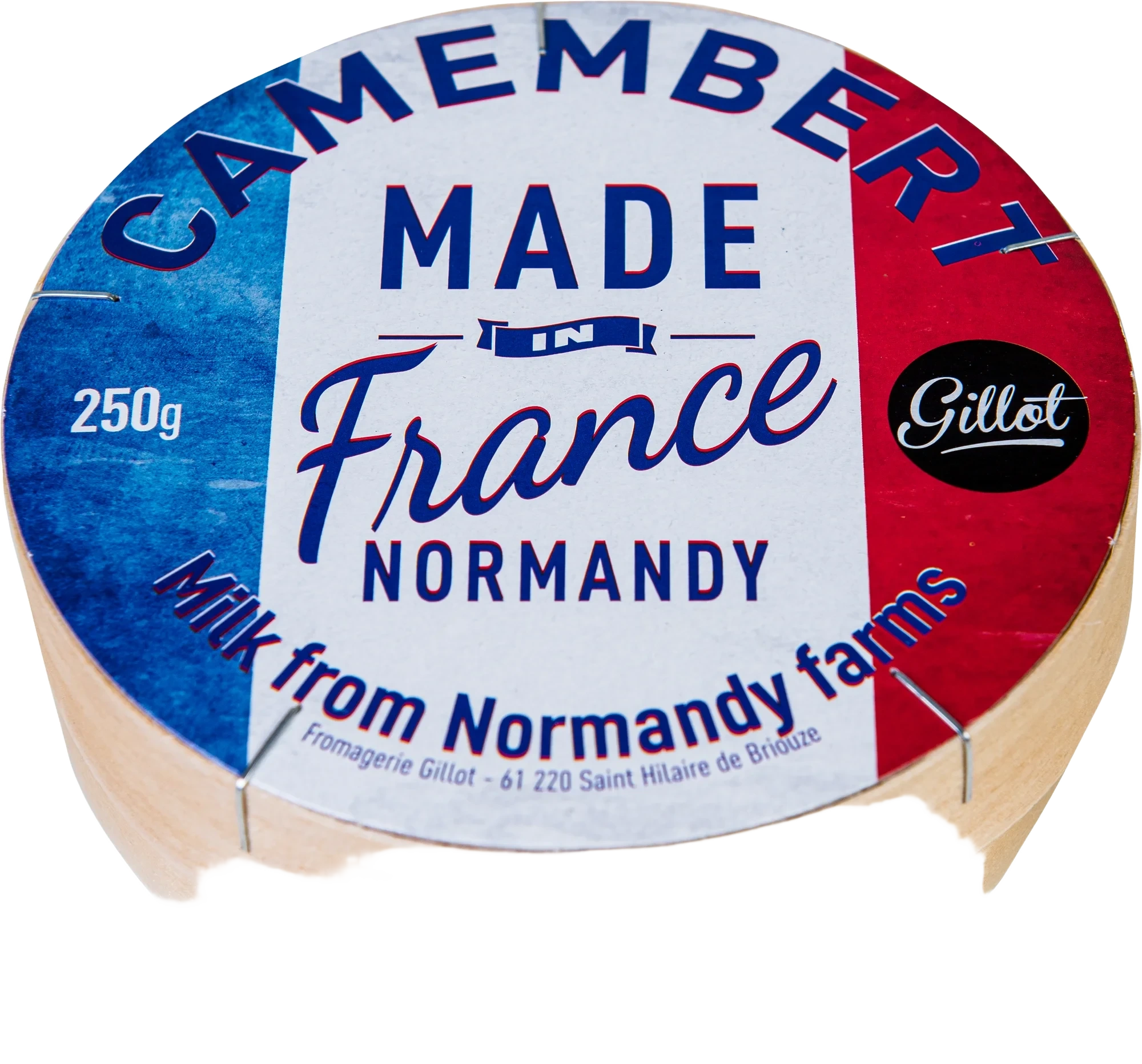 Camembert vitmögelost