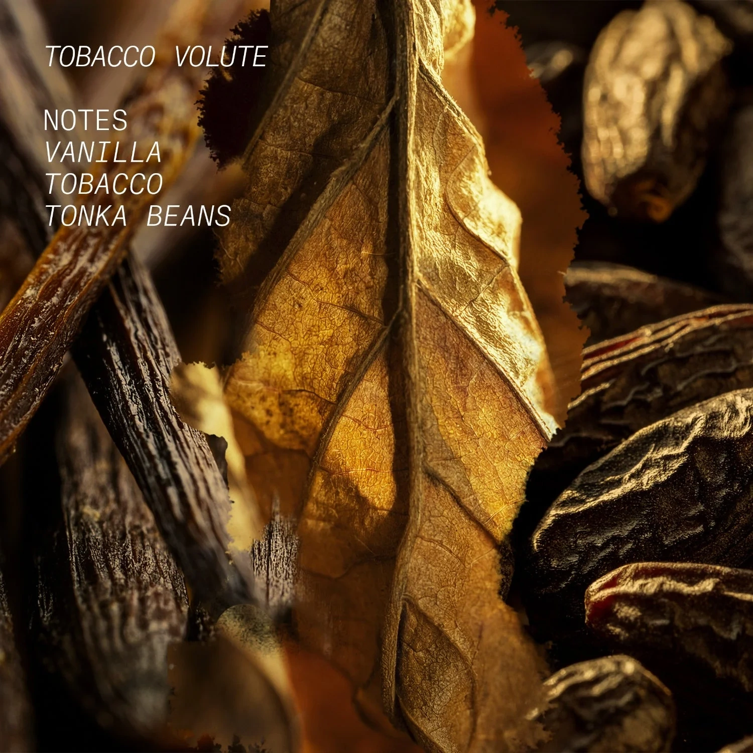 Látelier Parfum TOBACCO VOLUTE
