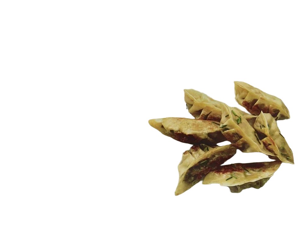 Dampet gyoza med svin og grønnsaker