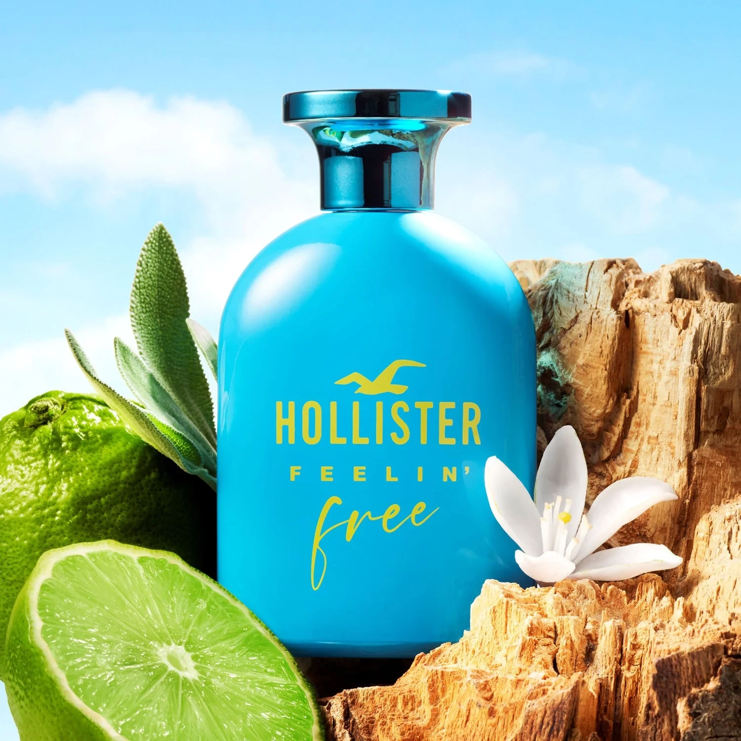 Hollister Feelin' Free for Him