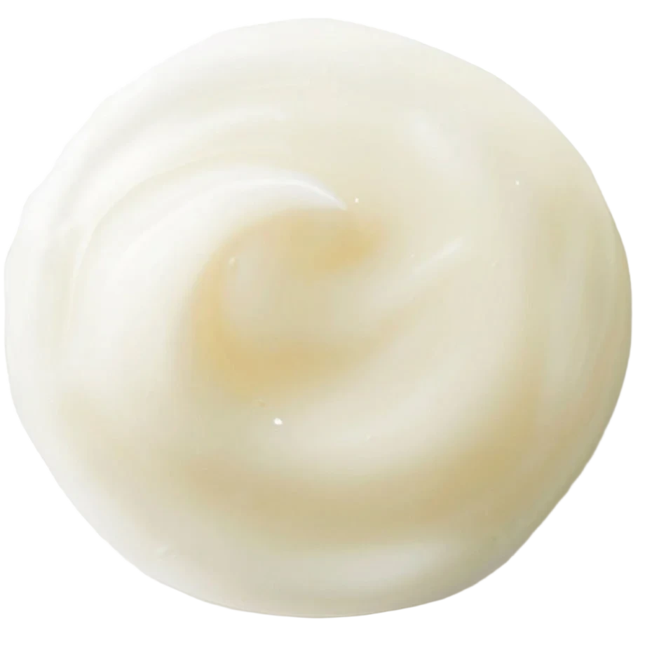Shiseido Benefiance