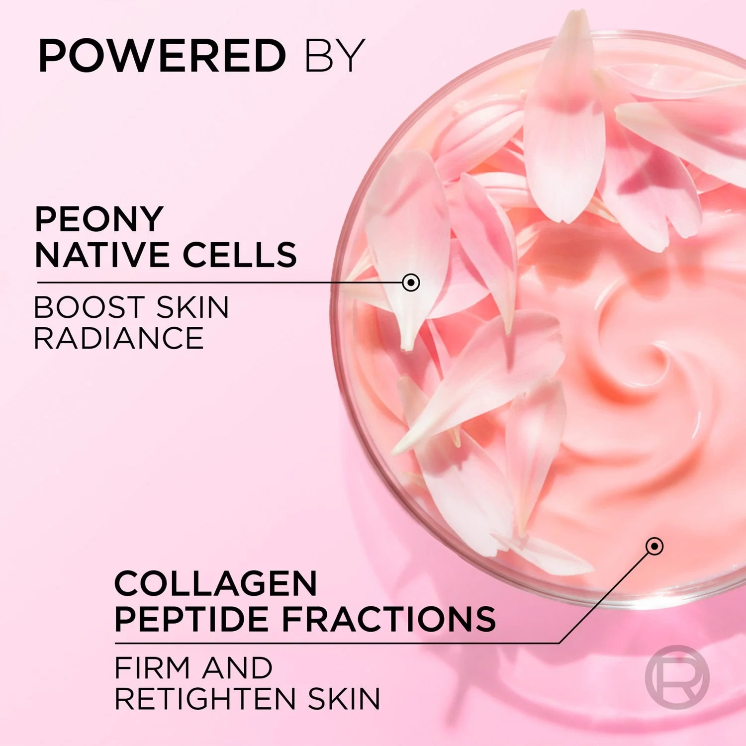 L'Oréal Paris Golden Age Rosy Foritfying Care Day