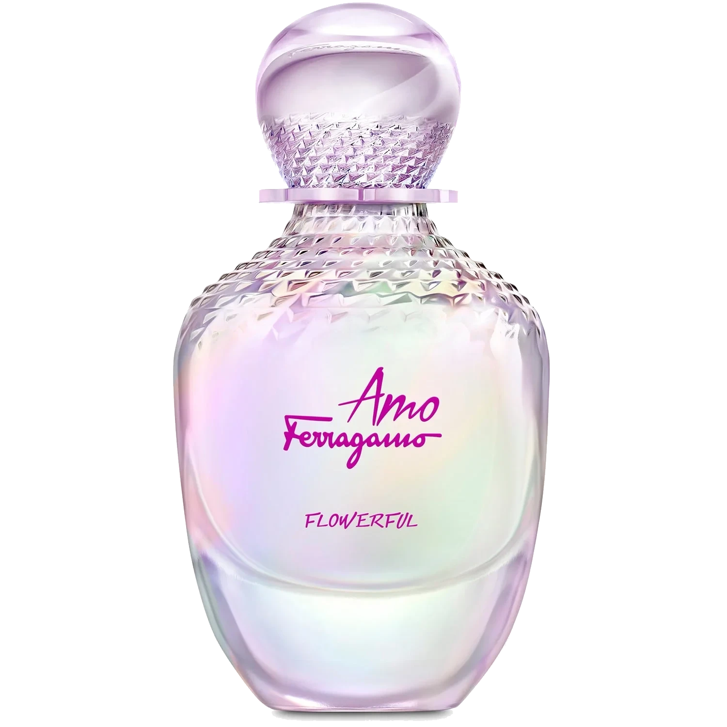 Ferragamo Amo Flowerful