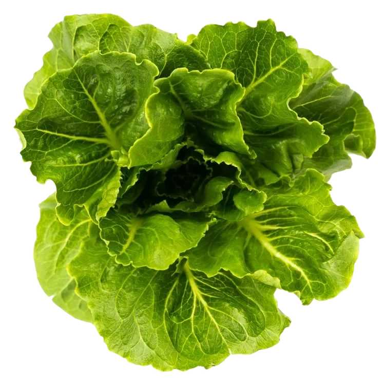 Romano Salat Spiseklar Løsvekt 1,5kg Onna