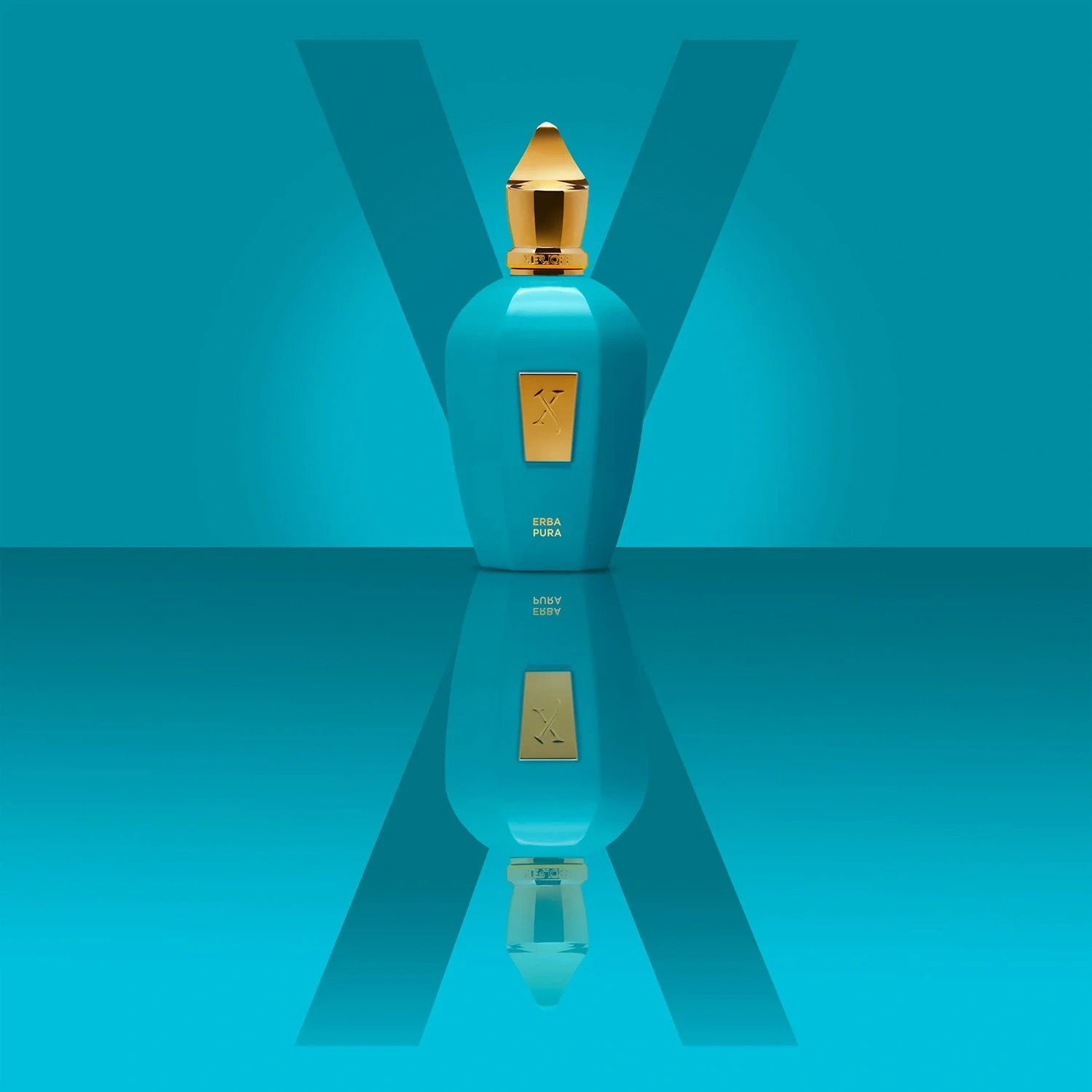 XERJOFF Erba Pura Eau de Parfum 100 ml