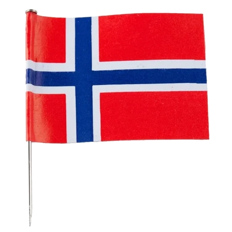 Flagg Norske med Nål 10pk