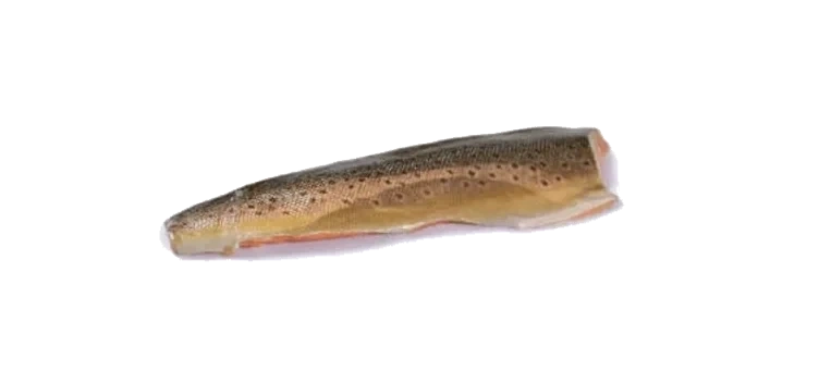 Ørretfilet Asc Sirdal 5kg Unil+