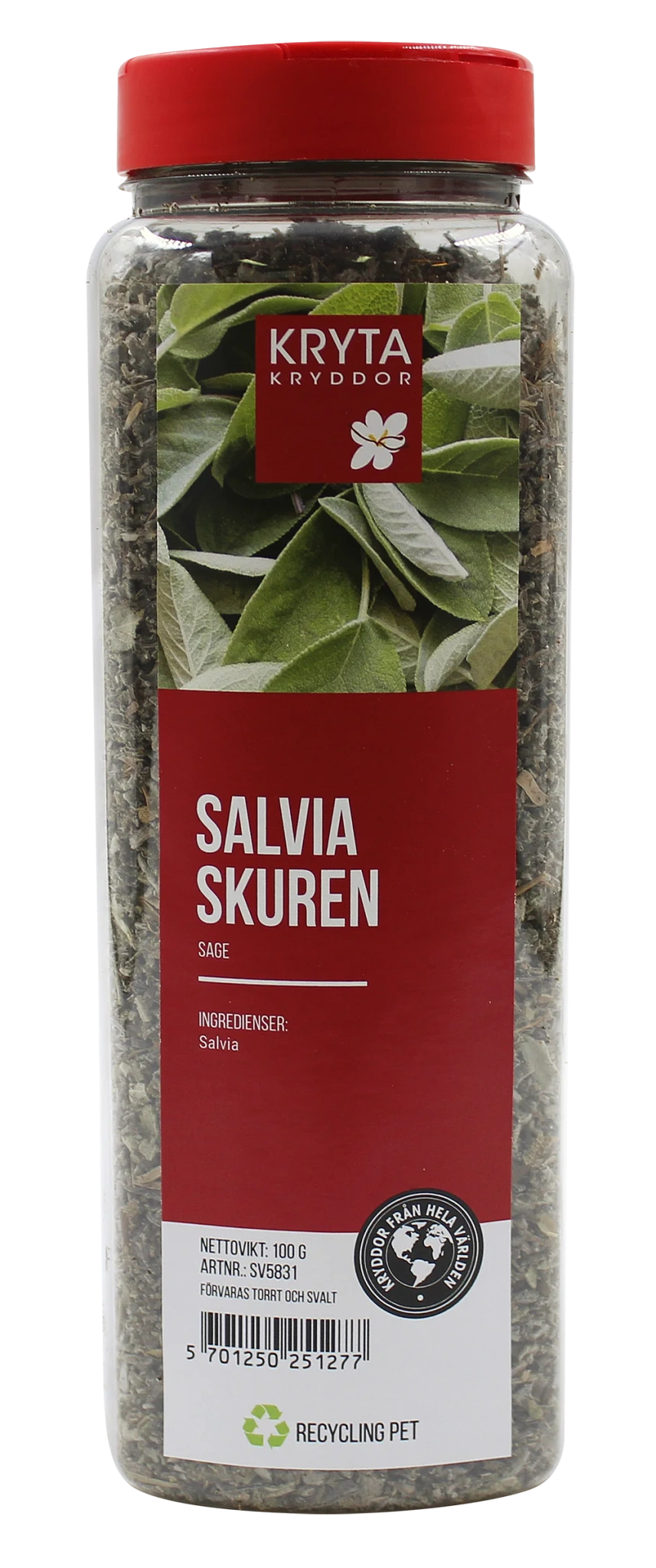 Salvia