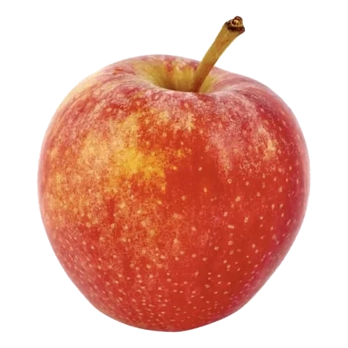 Äpple Royal Gala Eko Klass 1