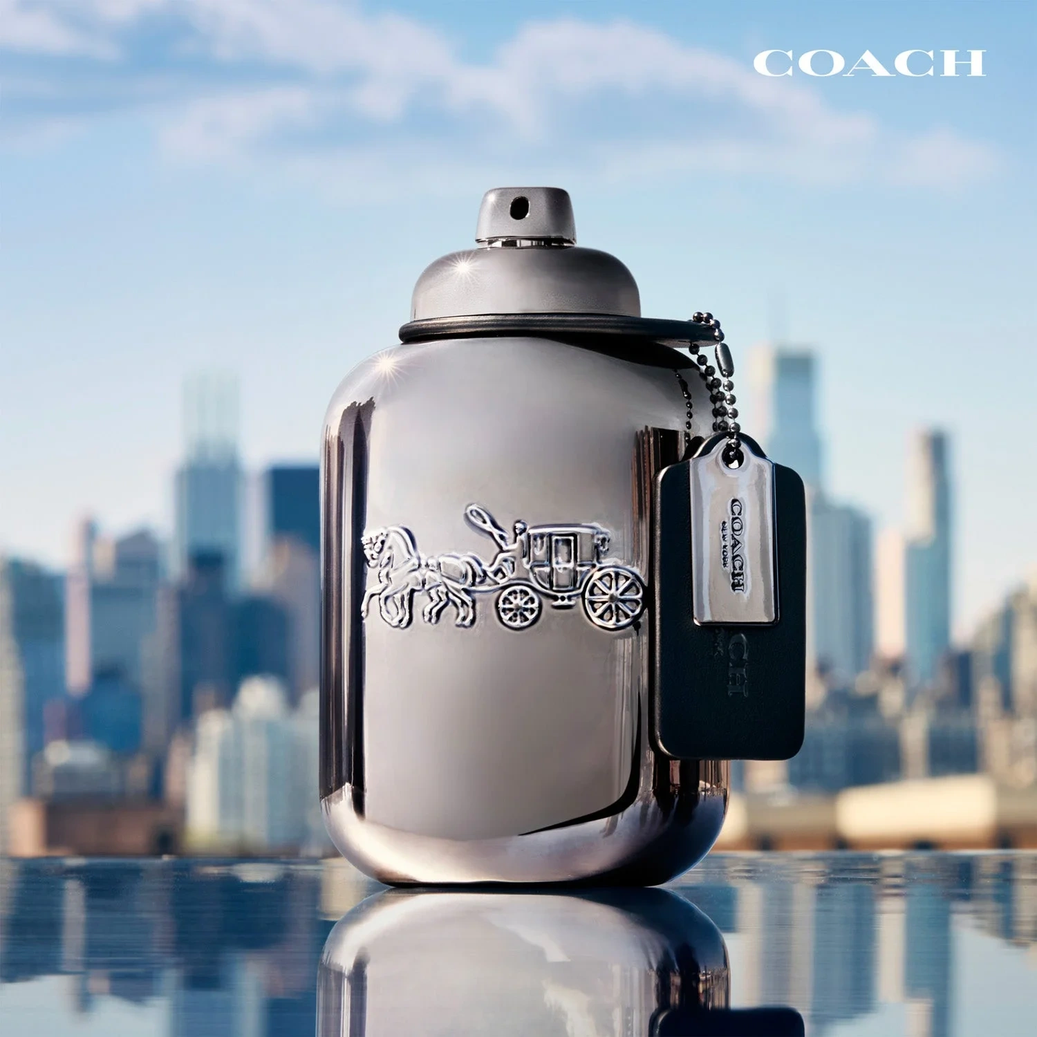 Coach Pure Platinum Parfum 60 ml