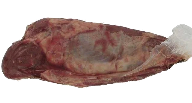 Chuck Tender nötbog