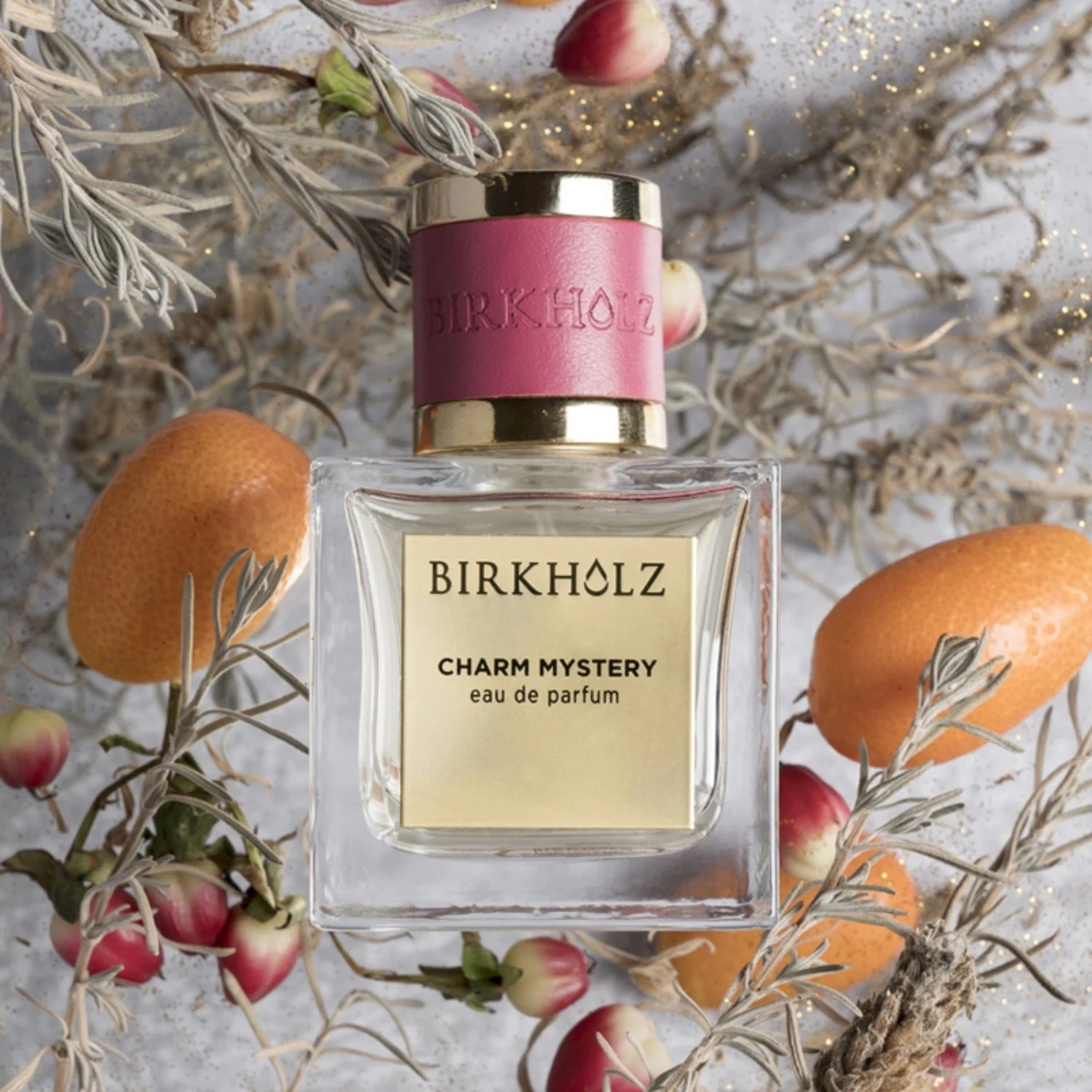 Birkholz Charm Mystery