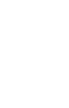 Duni Tallrik papper