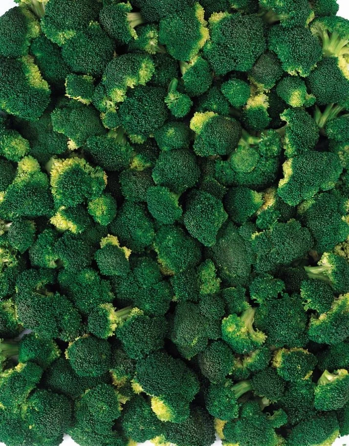 Broccoli IQF 20/40