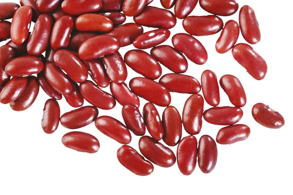 Kidneybönor Från Sverige