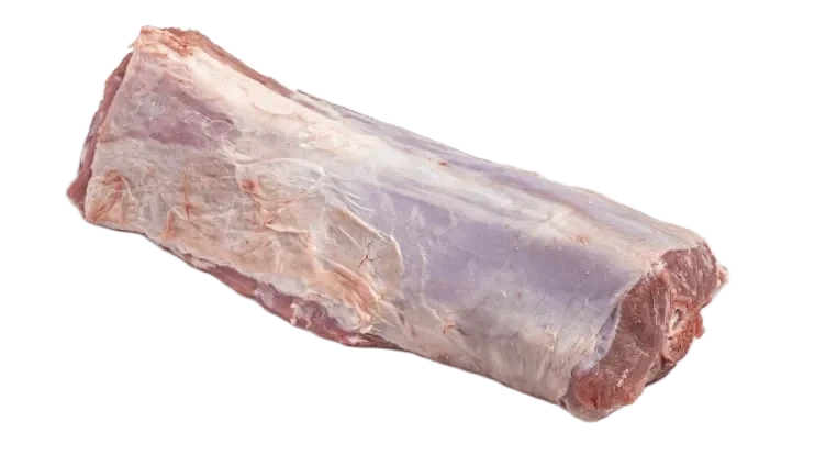 Kje Sadel pr Kg