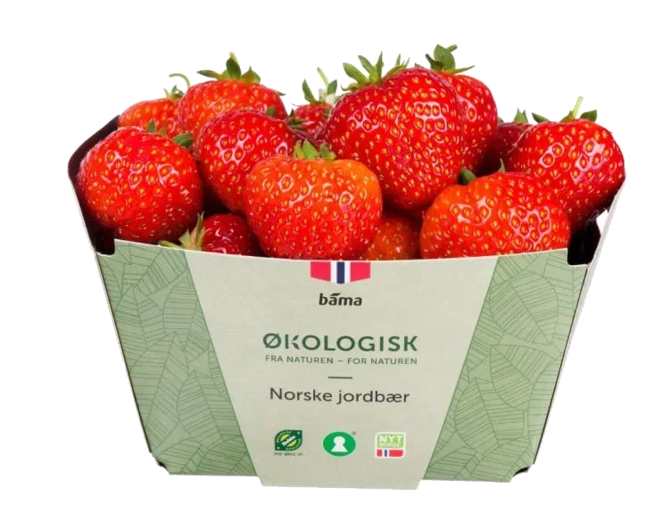Jordbær 350g Økologisk