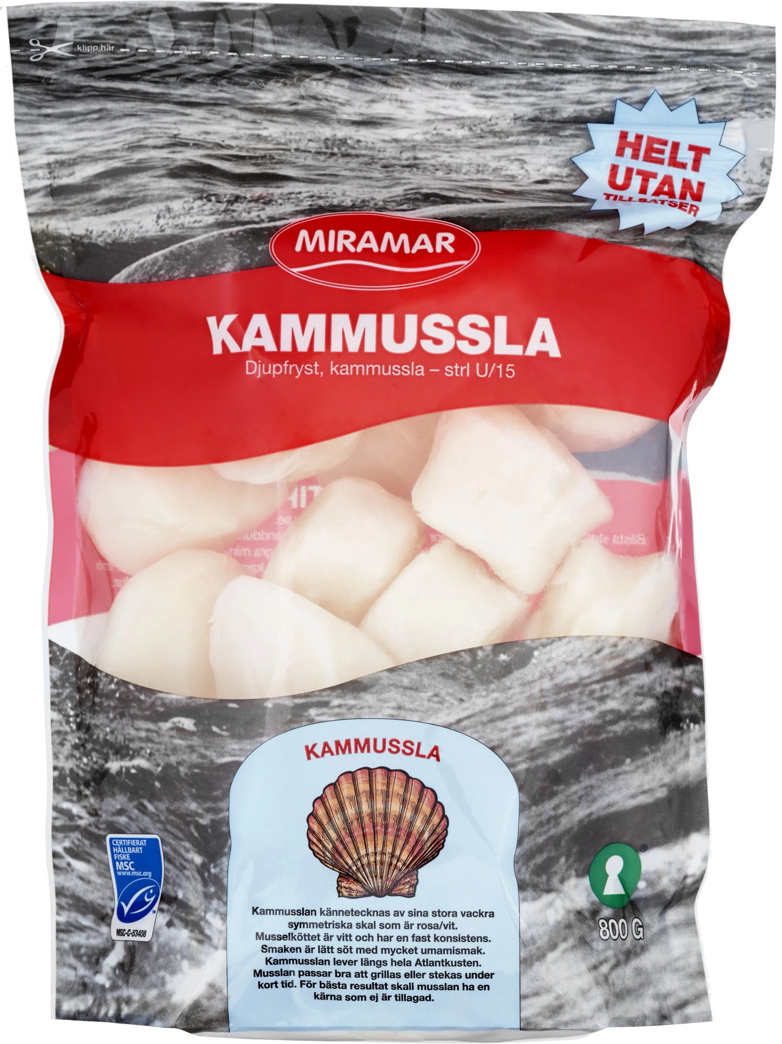 Kammussla U/15