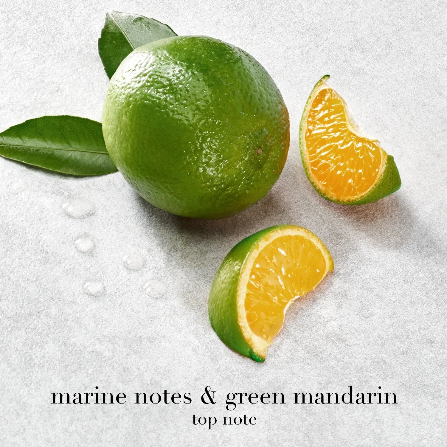 Armani Acqua di Giò