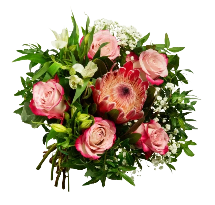 Gavebukett Protea Håndbundet Blomstermiks