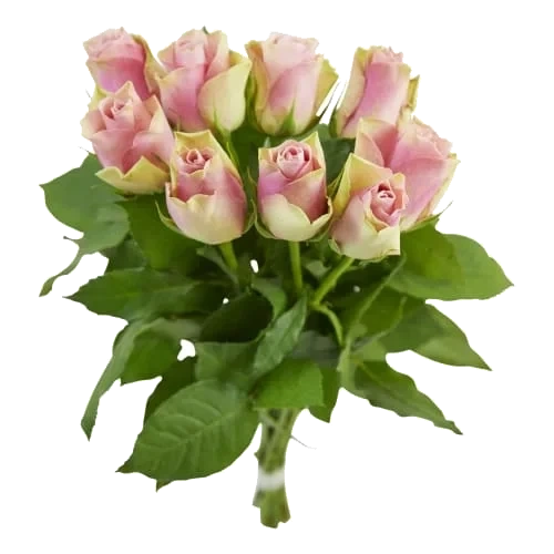 Rosor 9-pack 40cm