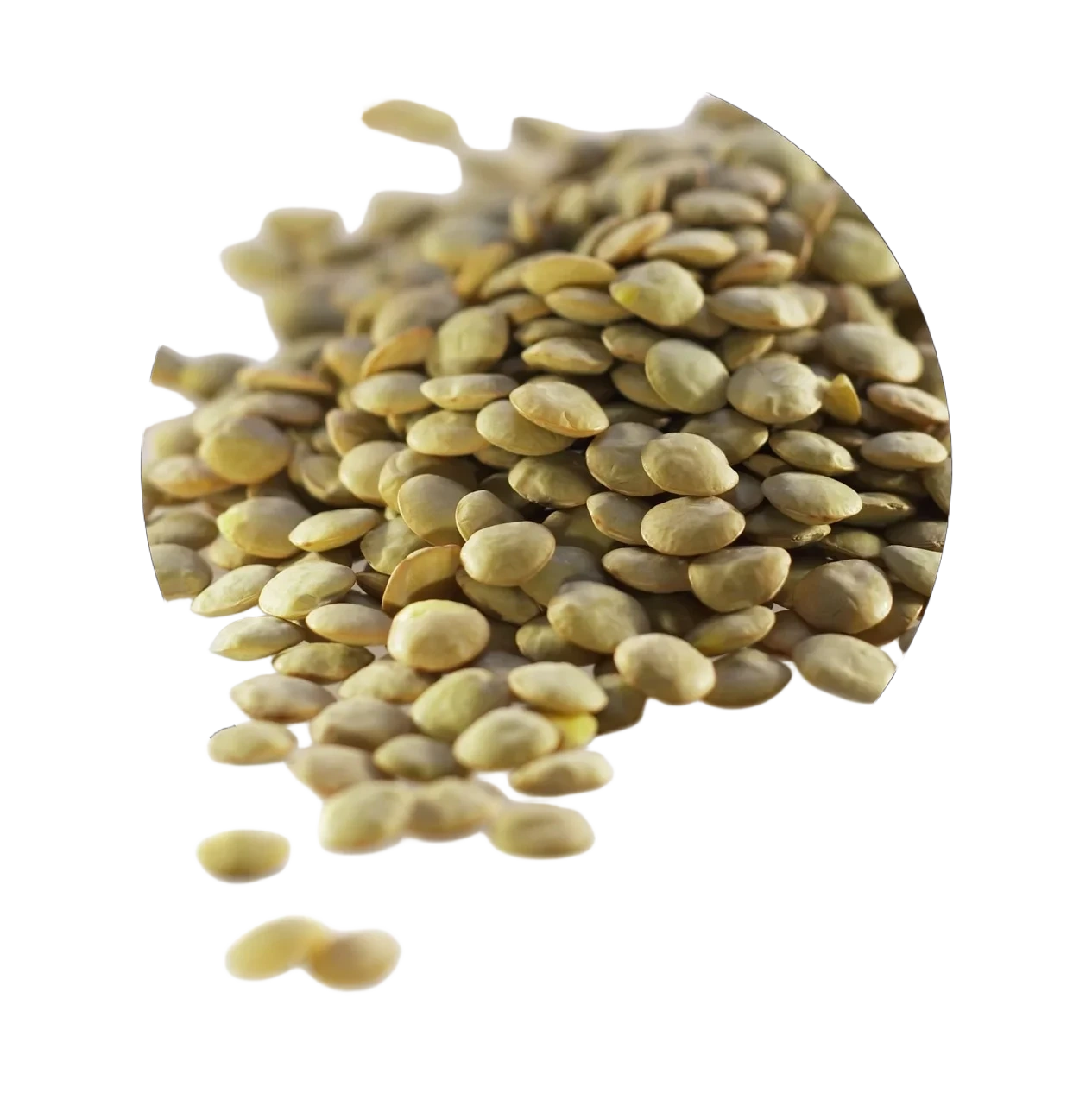 Grønne linser 400g