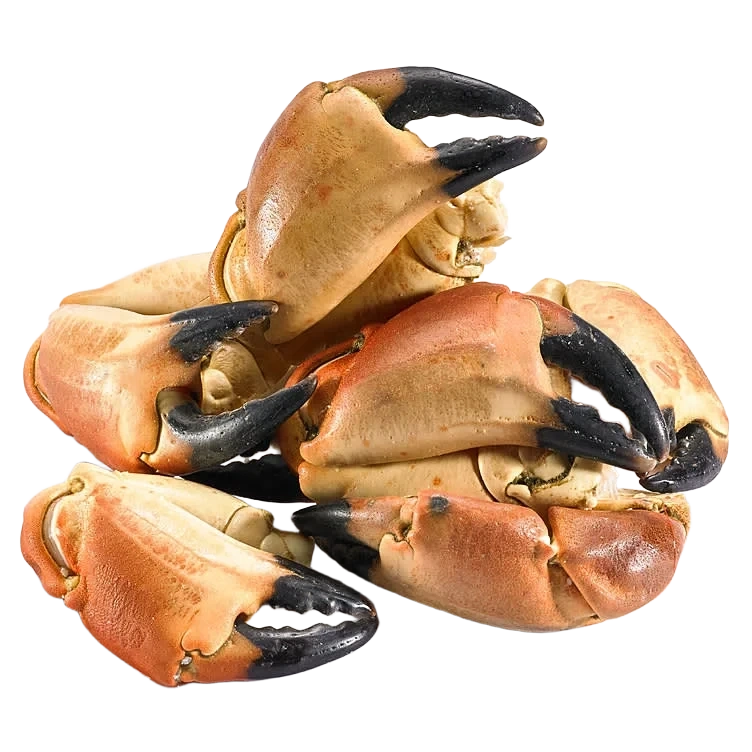 Ex. store krabbeklør bestilles pr stykk a ca. 200g