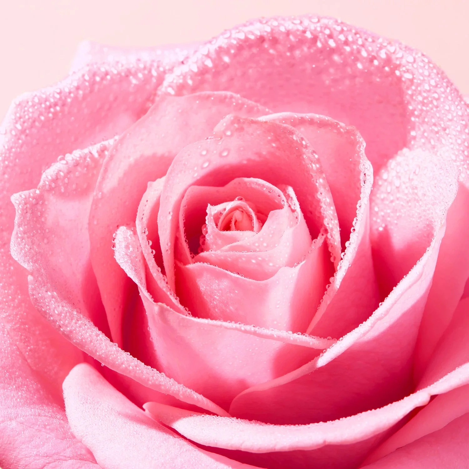 Nuxe Very Rose Refreshing Tonic Lotion