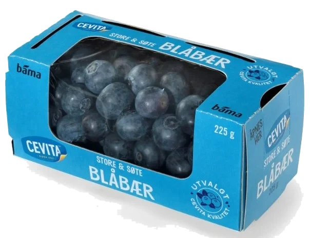 Blåbær i Beger 225g
