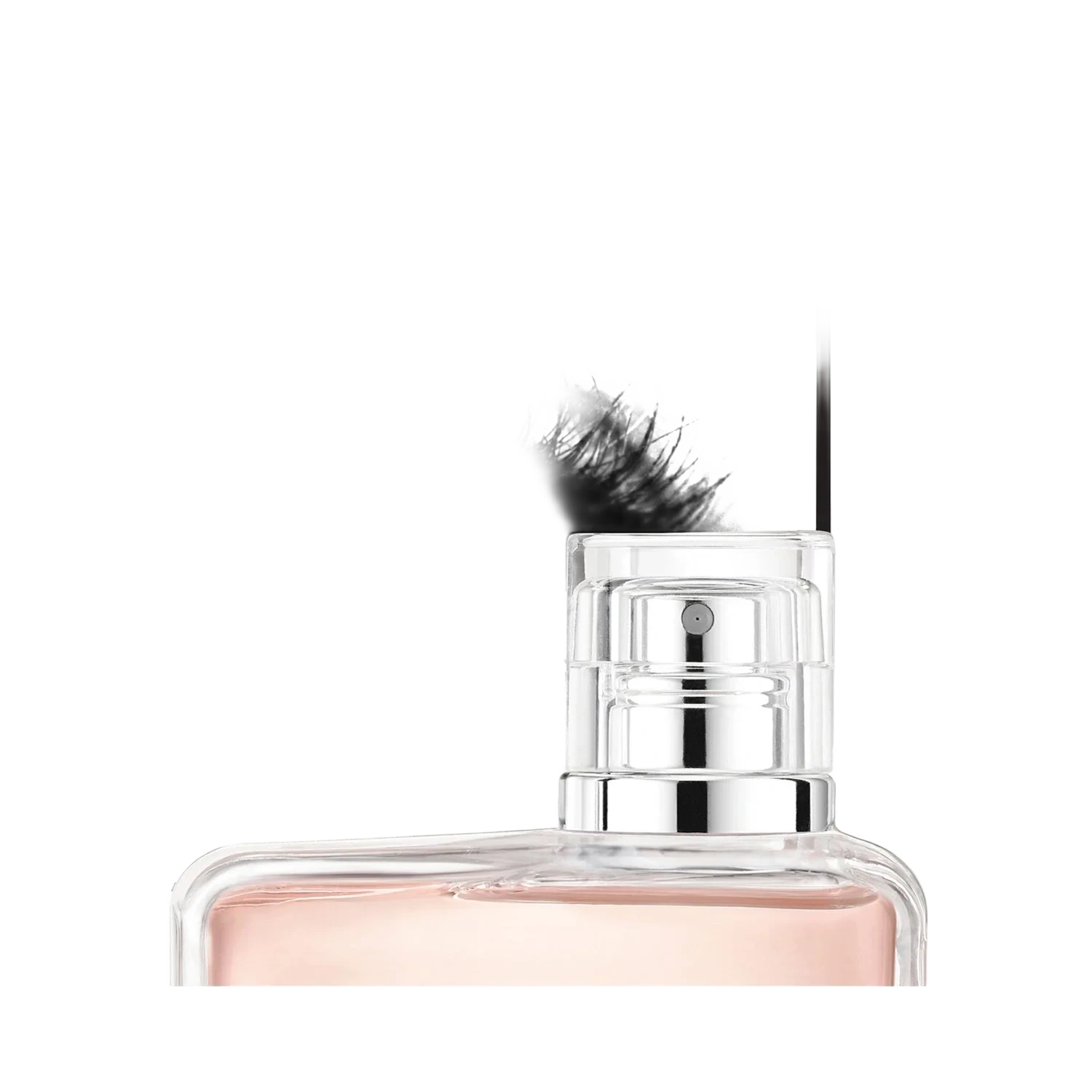 Calvin Klein Ck Women