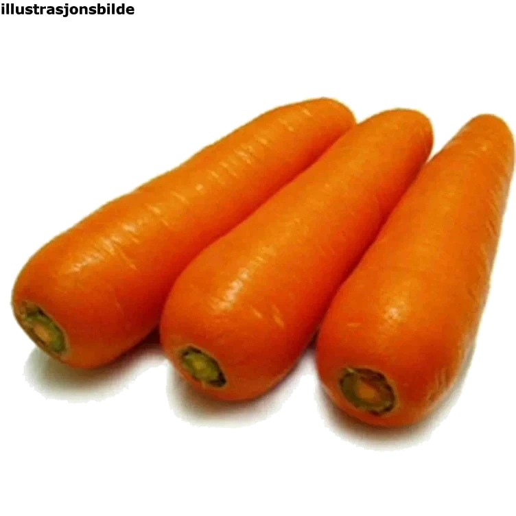 Gulrot pakket økol.      kg